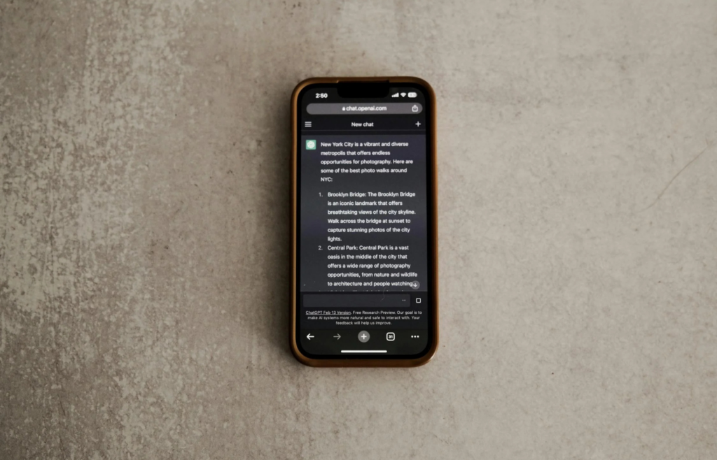 A chatbot interface responding to user inquiries