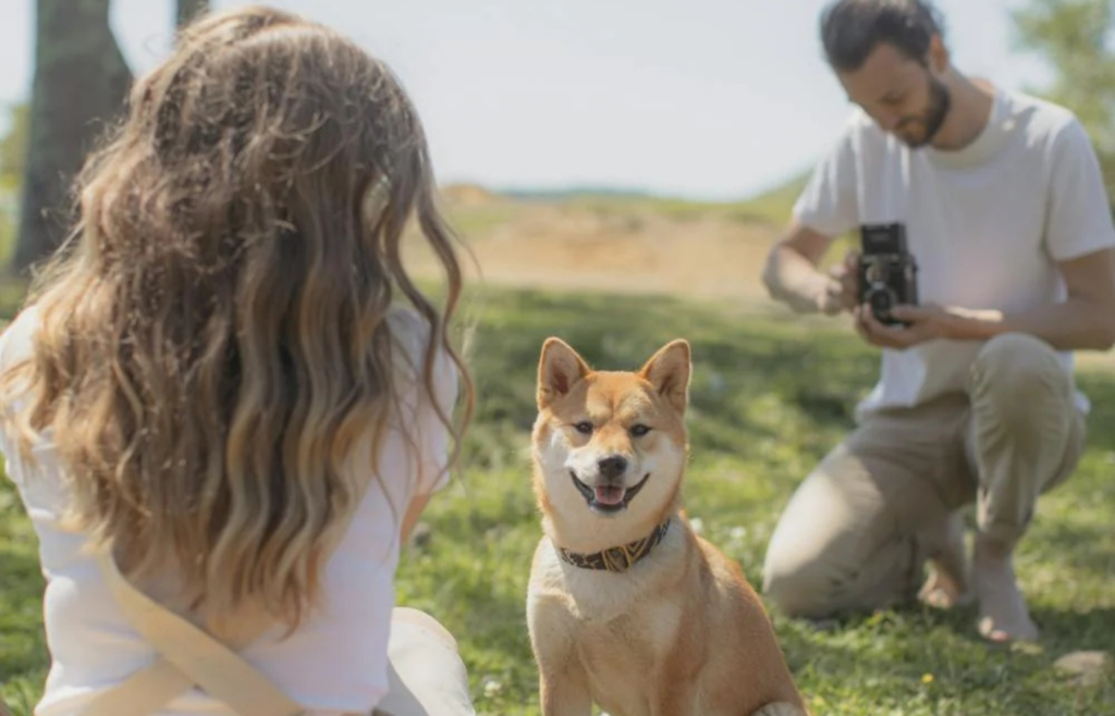 A dog posing in front of a camera with props