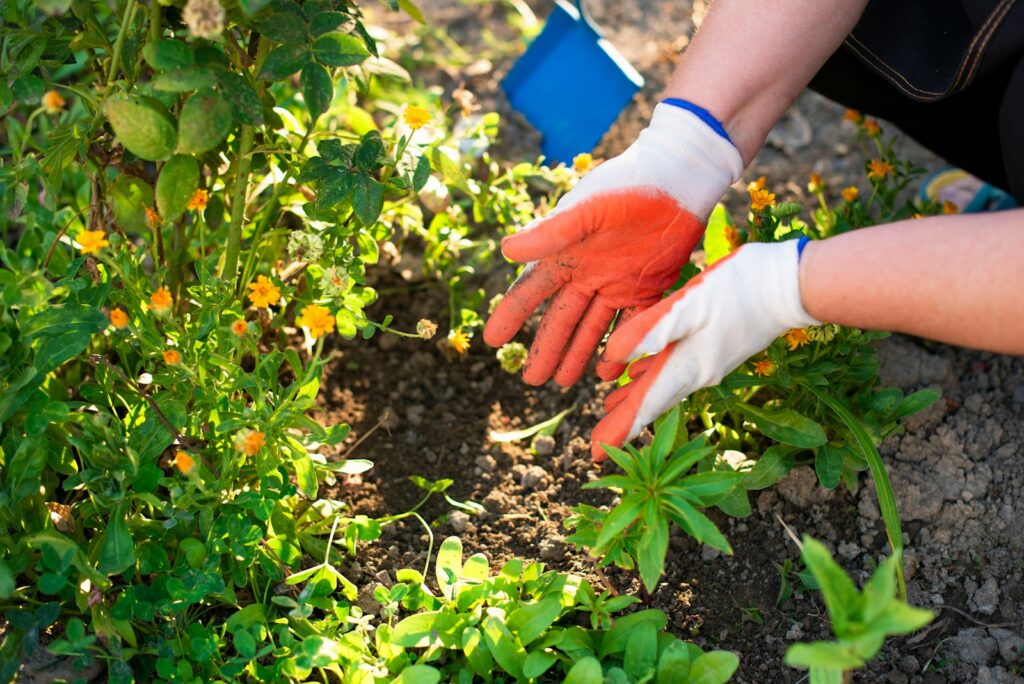 a person wearing gloves and gardening gloves plants in a garden