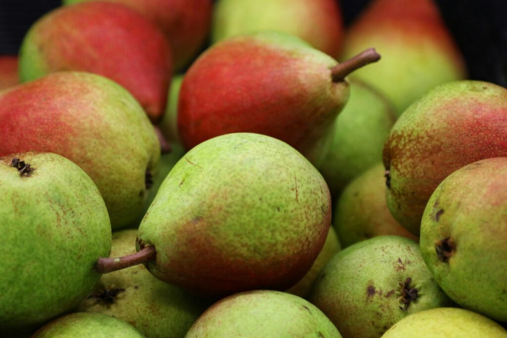 A pile of ripe red and green pears.