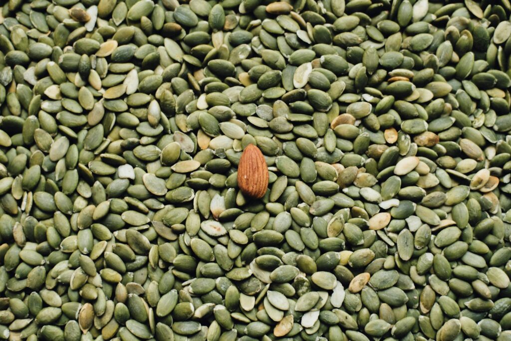 almond seed on top of pumpkin seeds