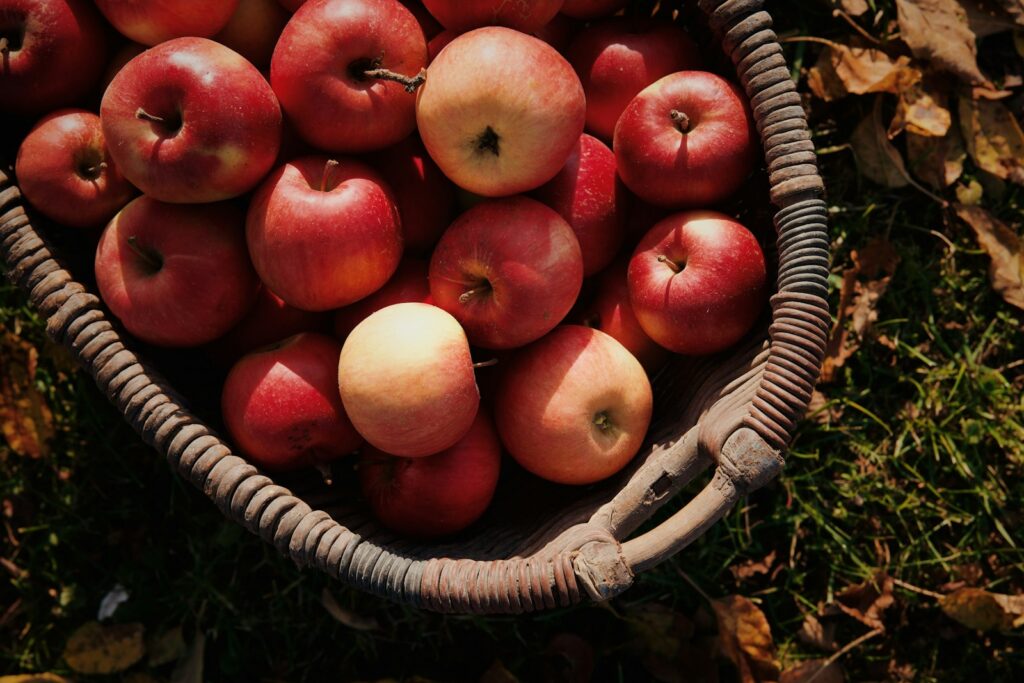 a basket filled with lots of red apples