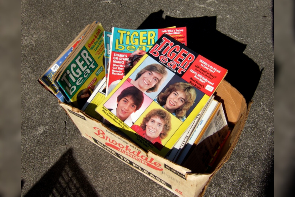 tiger beat magazine