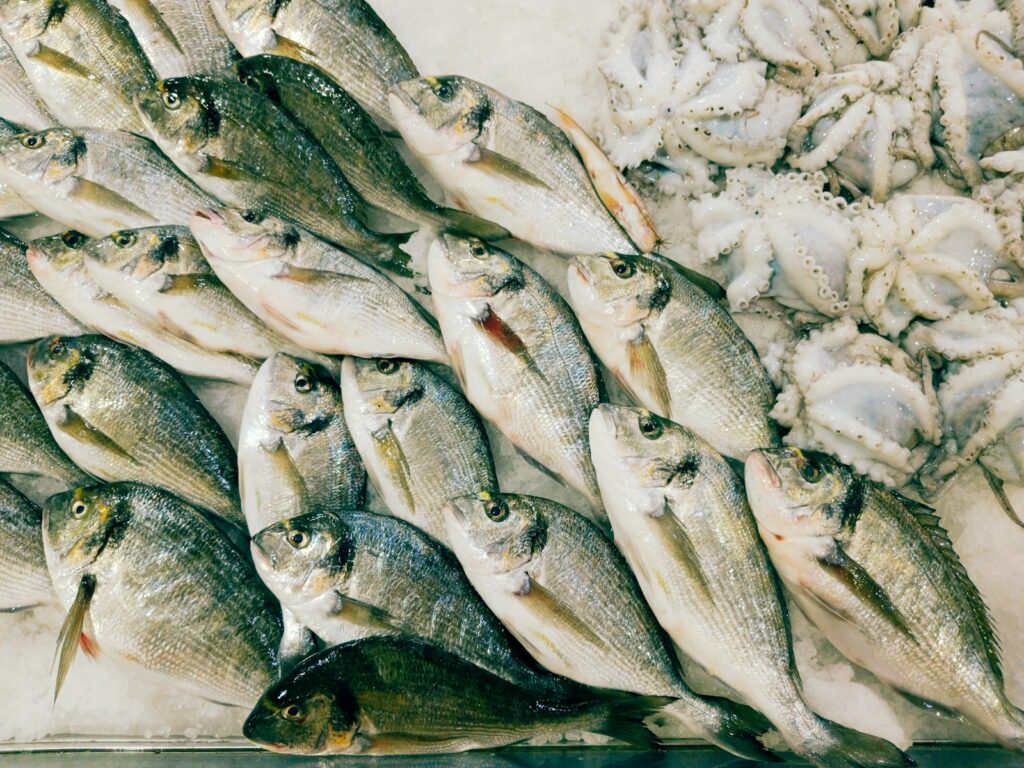 A bunch of fish sitting on top of a counter
