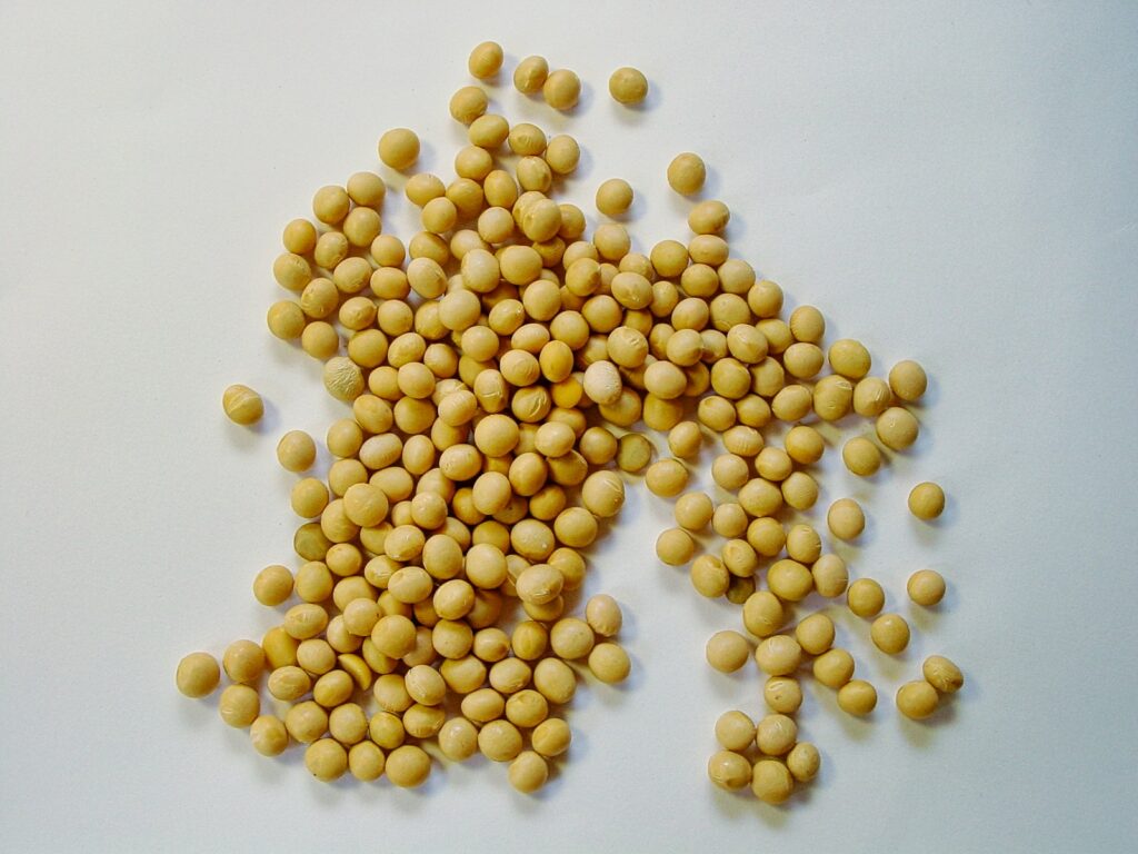 soybeans