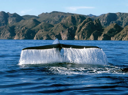 Baja California