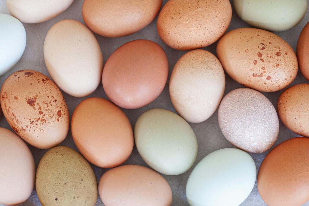 Top view of diverse natural eggs showcasing different colors and speckling patterns.