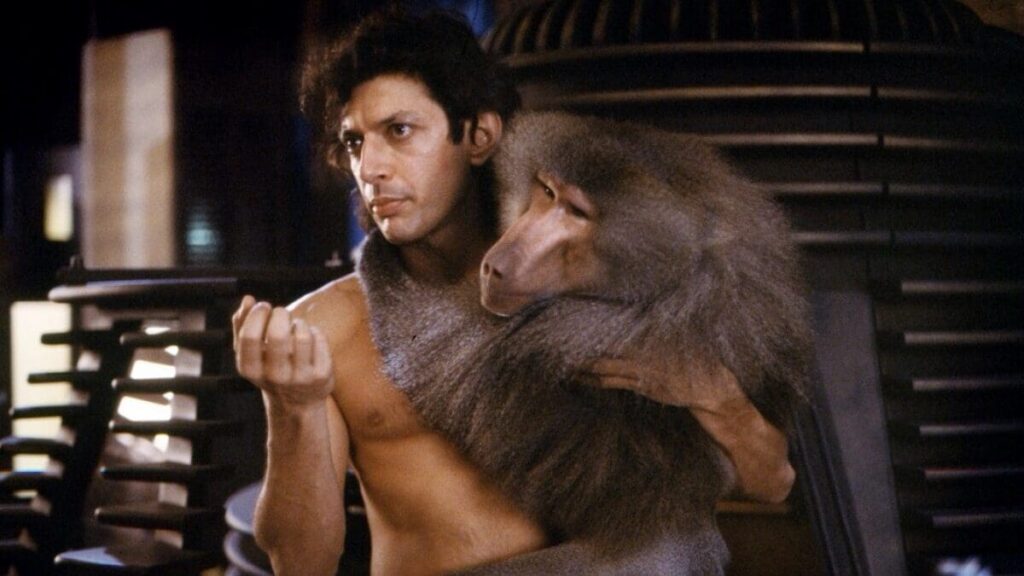 The Fly