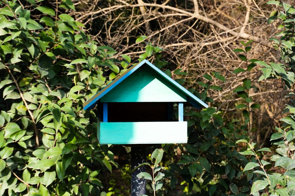 A birdhouse sits in front of green foliage.