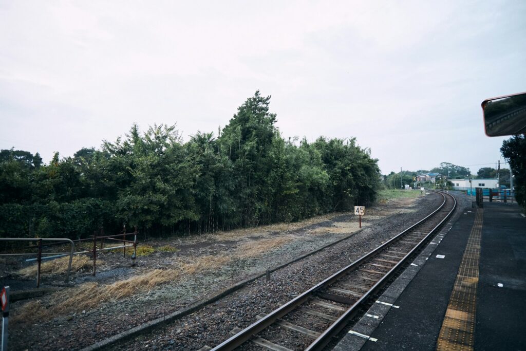 Train tracks curve through a green, wooded area.
