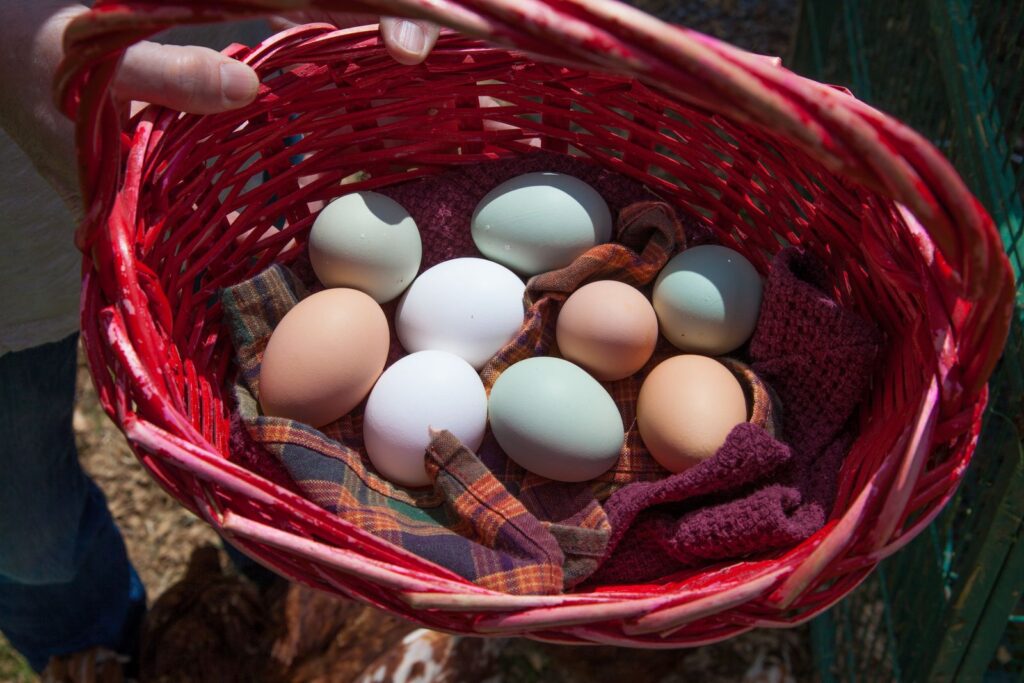 A vibrant collection of fresh farm eggs in a woven basket, showcasing colorful shells.