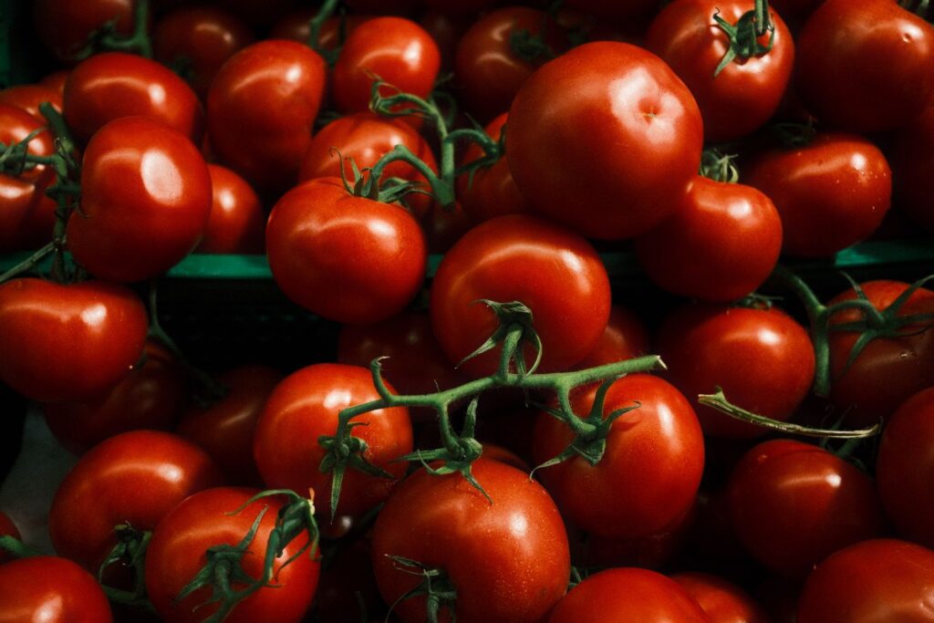Vibrant red tomatoes on the vine, perfect for healthy recipes.