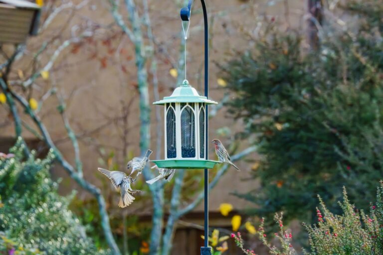 A delightful bird feeder with lively birds in the serene autumn garden setting.