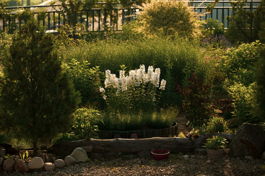 A tranquil garden scene showcasing vibrant summer blooms and lush greenery.