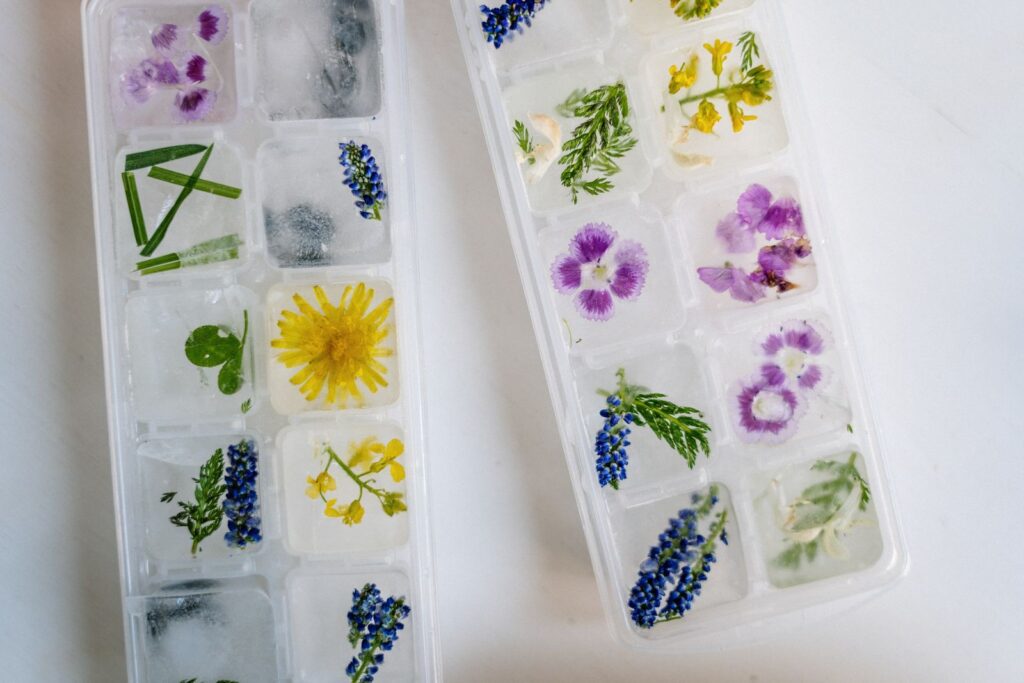 Unique floral ice cubes in plastic trays, showcasing nature-inspired frozen designs.