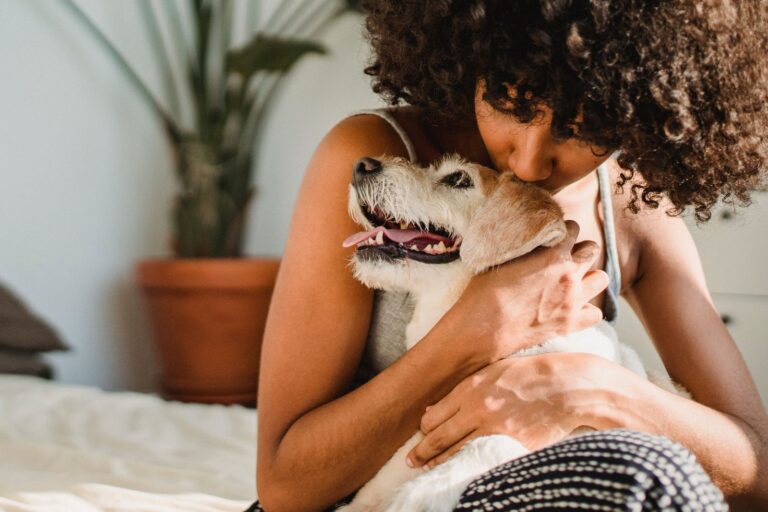 Crop young African American female embracing gently purebred puppy with tongue out on soft bed at home