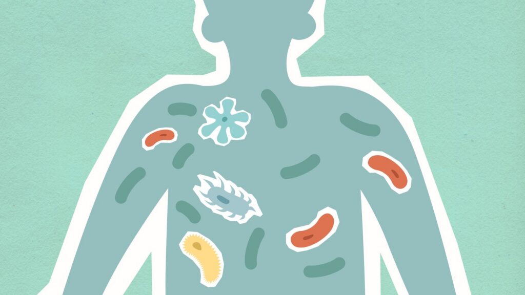 Top view of decorative cardboard appliques of human figure with different bacteria in body on green background