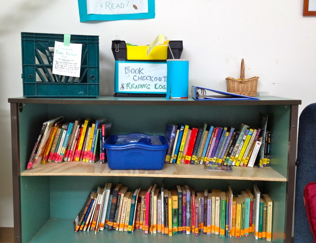 Small classroom bookshelf/library