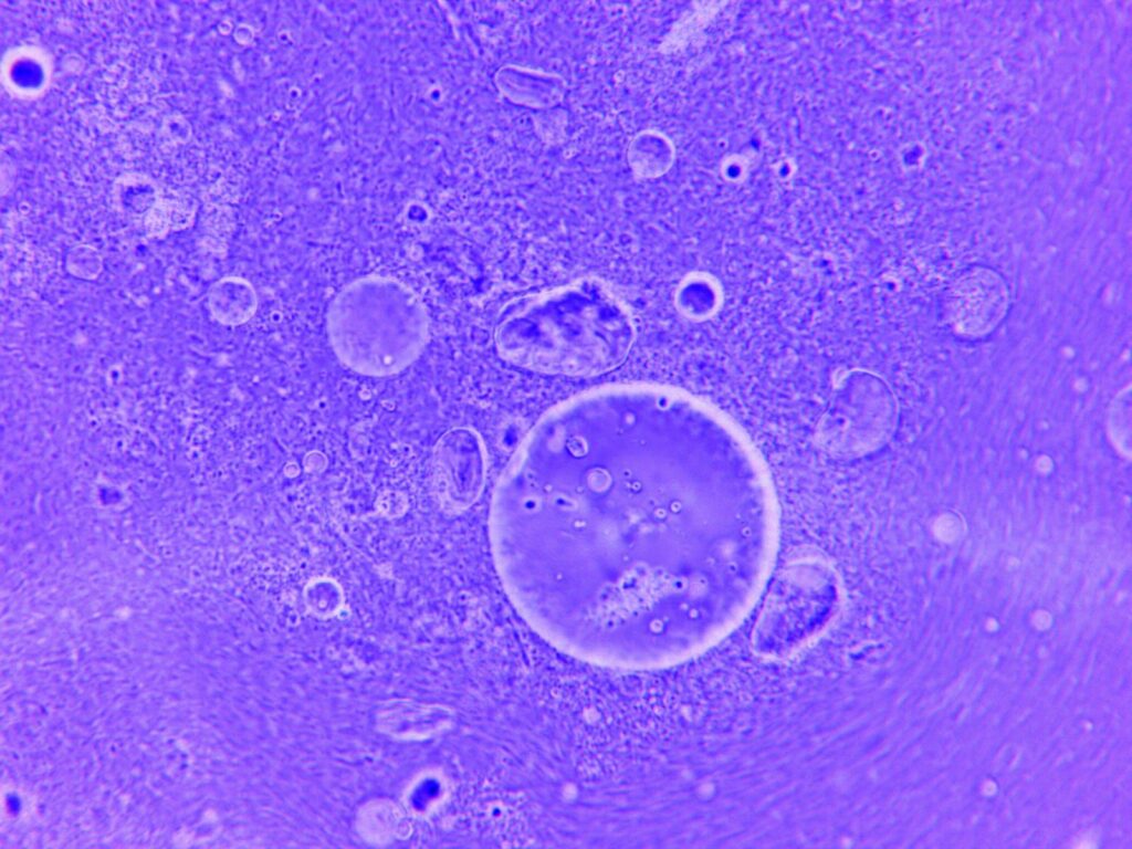 Blue abstract image of water droplets and particles under a microscope.