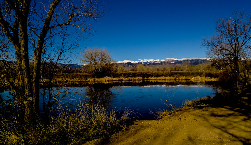 Early morning at Walden Ponds Wildlife Habitat