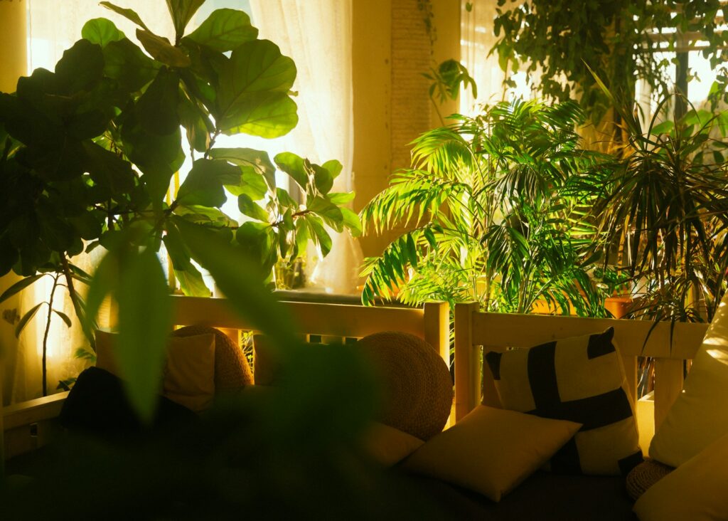 Sunlight streams through lush indoor plants and cushions.
