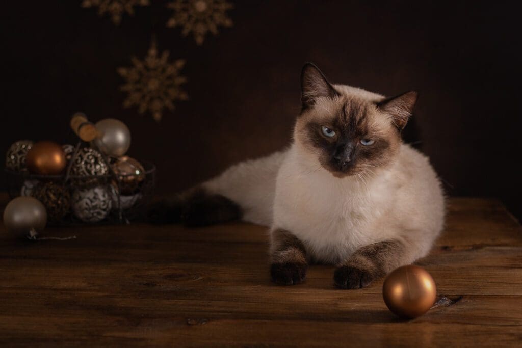 Birman