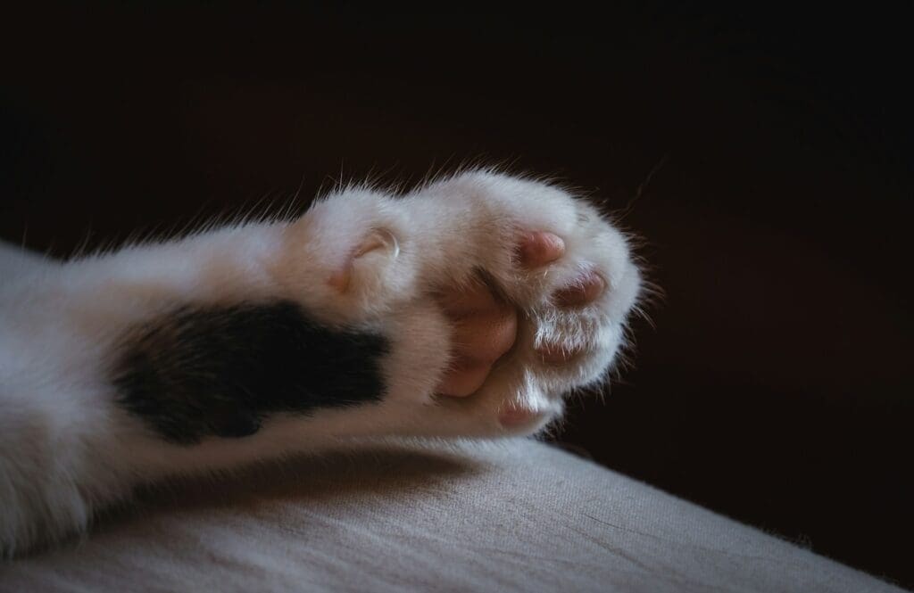 declaw