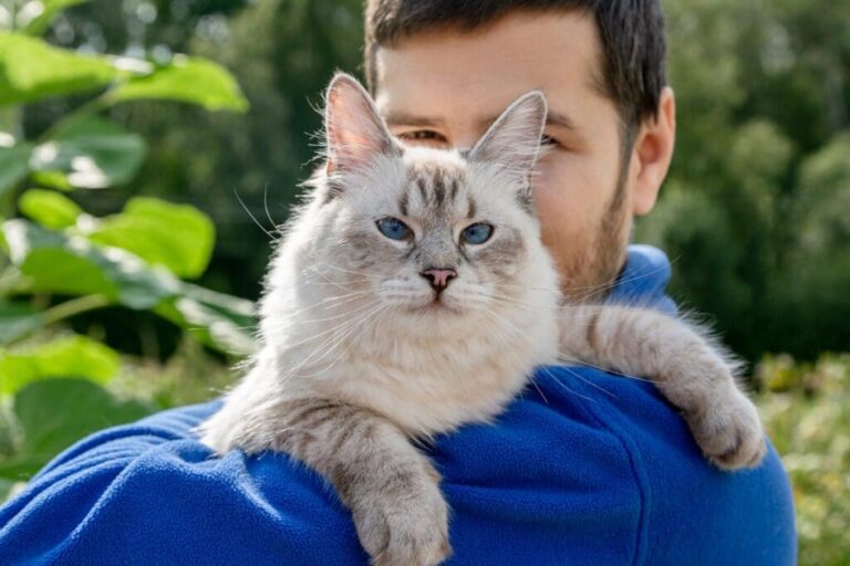 Siberian
