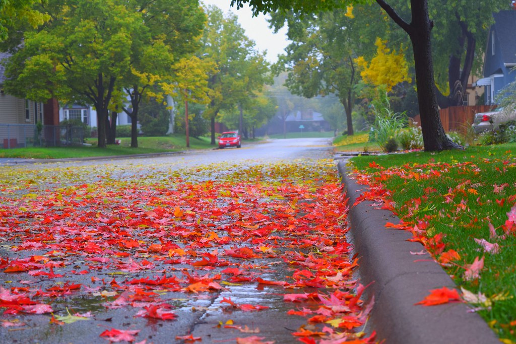 Minnesota