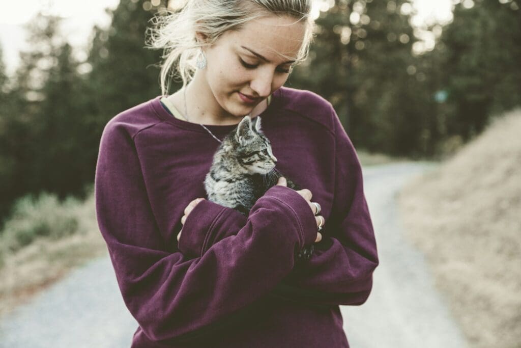 affectionate cat