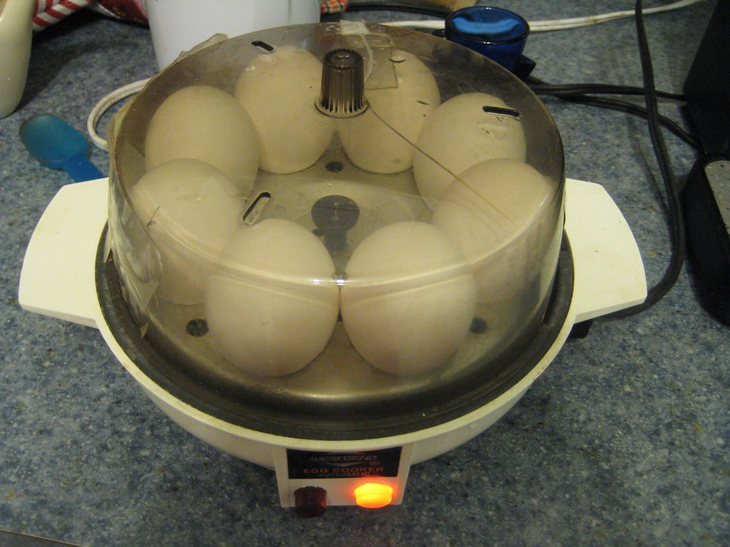 egg cooker