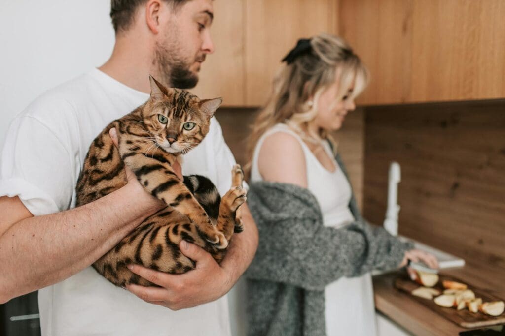 cat verbal cue