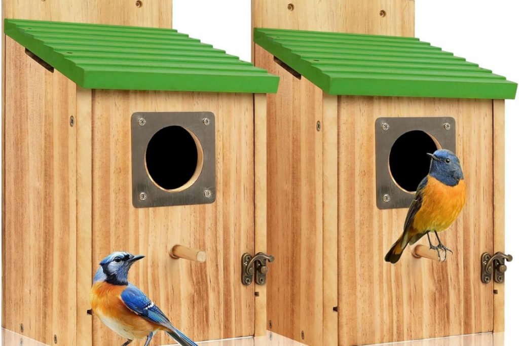 Cedar Bluebird Houses with Metal Predator Guard