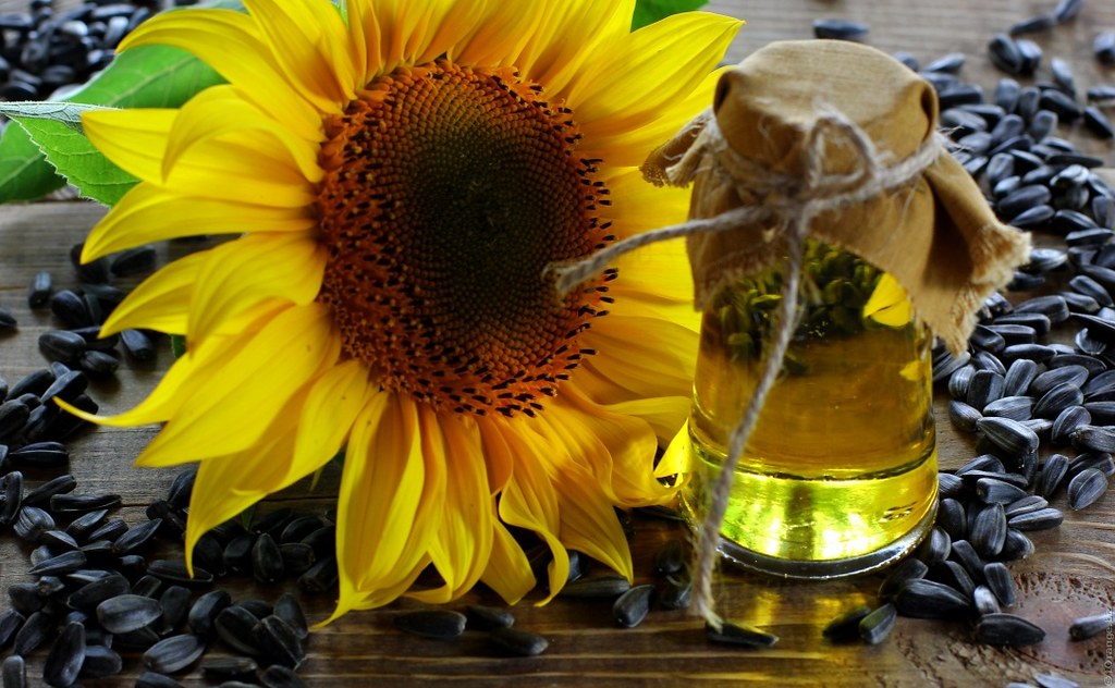 Sunflower oil
