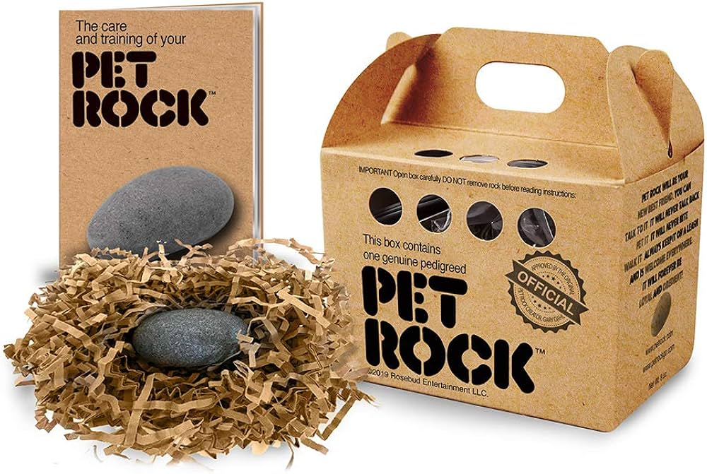 The original Pet Rock that was popular in the 70s by Gary Dahl