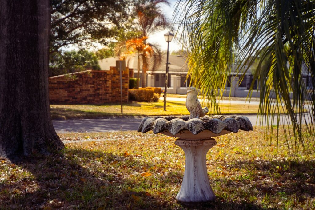 A white cockatoo sits on a weathered bird bath.
