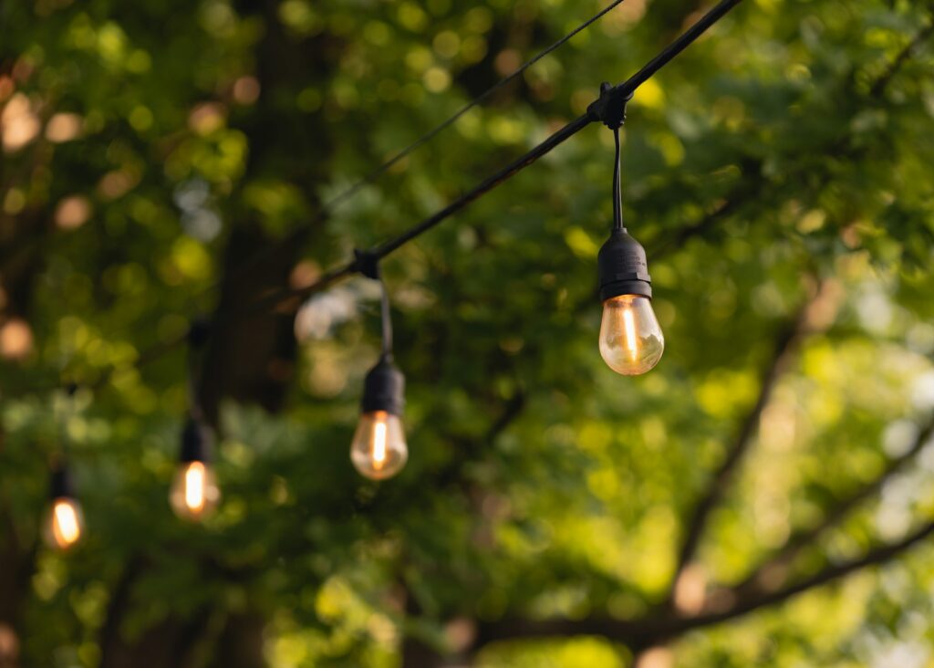 Edison bulb string lights glowing against blurred green foliage.