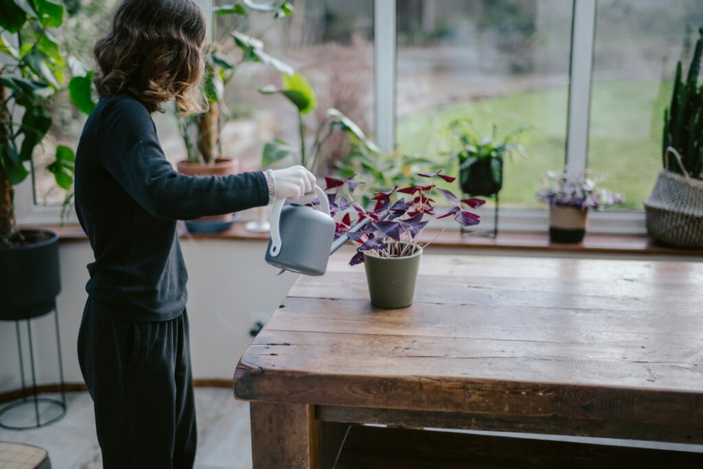 a woman watering a potted plant in a greenhouse