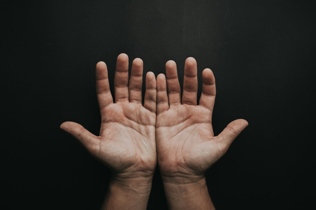 human palm