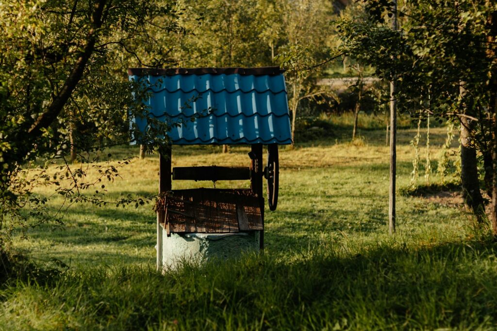 Old wooden well with blue roof in grassy yard.