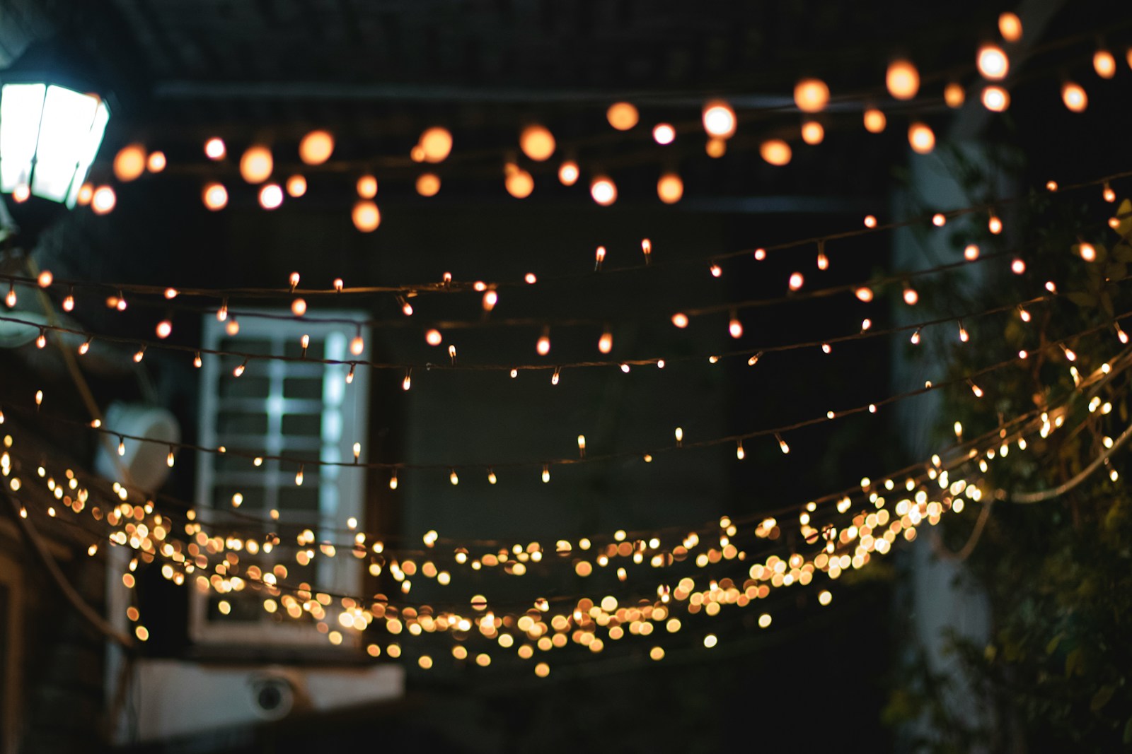 yellow string lights lighted during nighttime