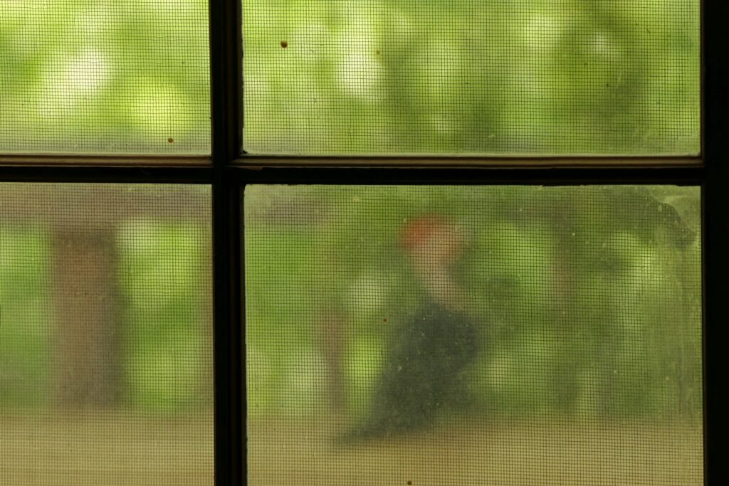 a bird sitting on a window sill in front of a tree