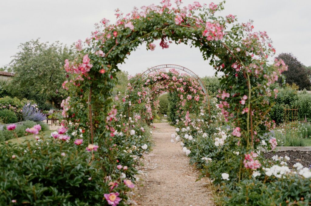 A garden path lined with arches covered in pink roses.