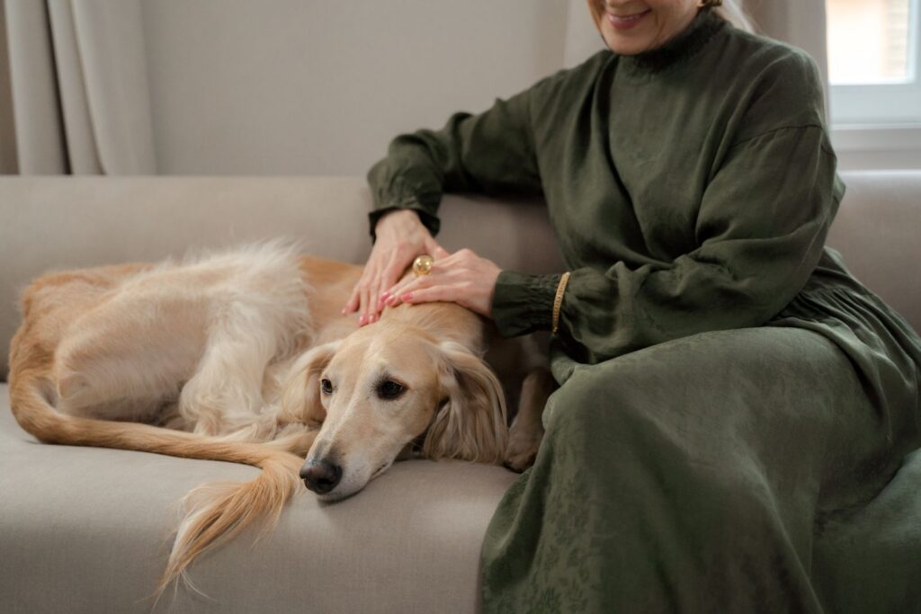 A woman in an olive dress relaxes with her pet greyhound on a sofa indoors.