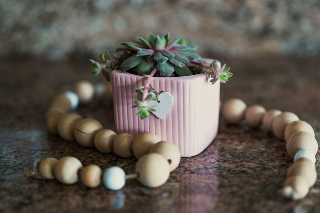 Adorable succulent plant in a pink heart-decorated pot surrounded by natural wooden beads on a countertop.