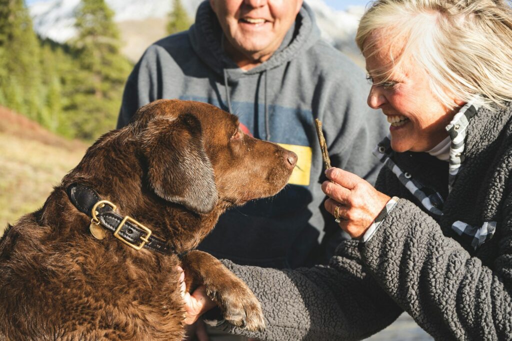 Senior, elderly couple giving dog a treat