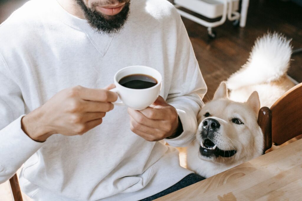 From above of funny Akita Inu dog sniffing coffee cup in hands of crop unrecognizable ethnic male person sitting at table during breakfast