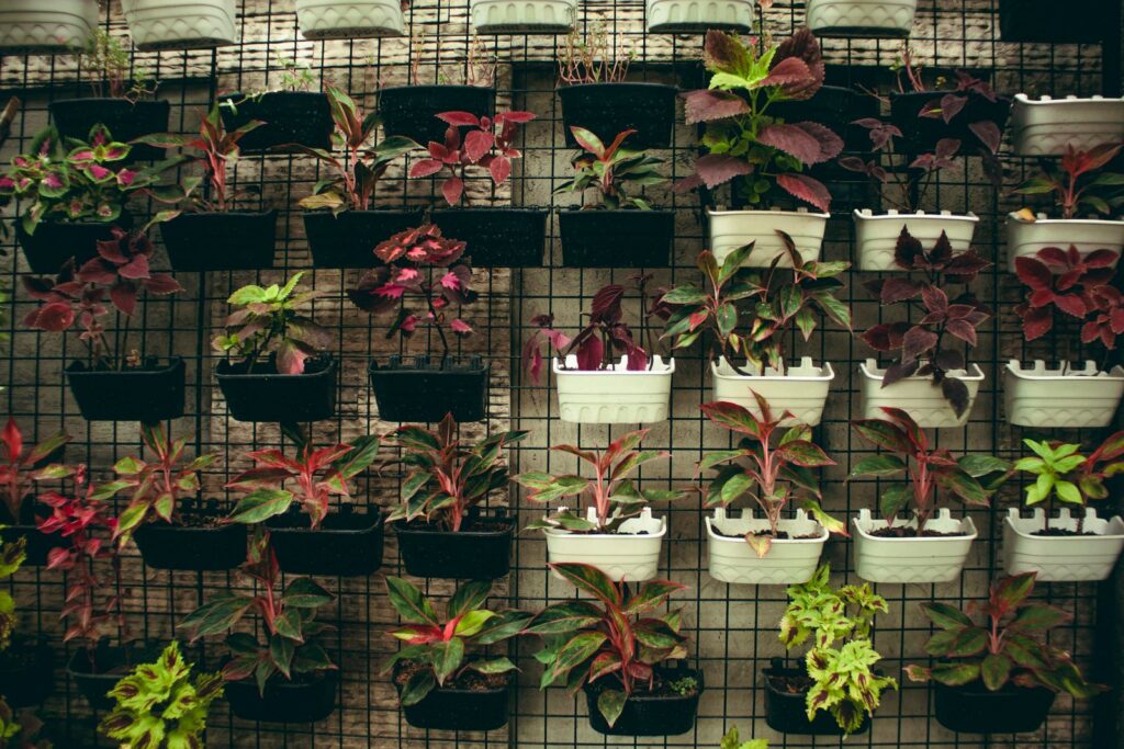 Abundance of bright plants with colorful leaves growing in plastic flowerpots hanging on wall with metal grid in flower store