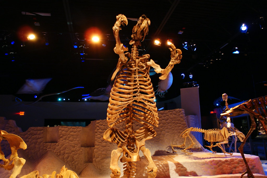 Giant Ground Sloth (Thinobadistes segnis)