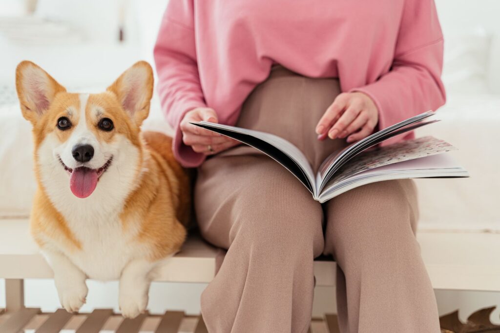 A woman sitting indoors reading a magazine with an adorable corgi by her side.